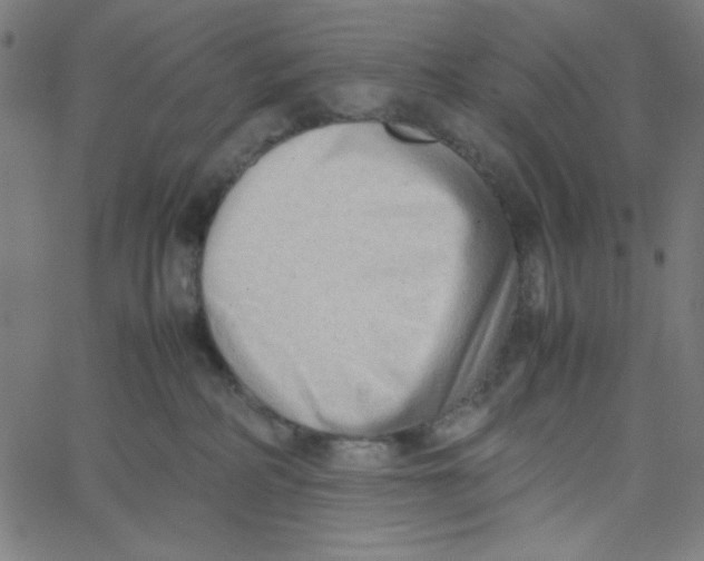 X0000067520234200604281642