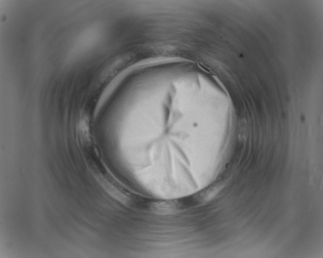 X0000067520238200604281642