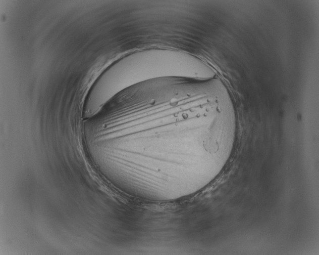 X0000067520241200604281641