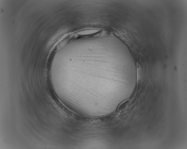 X0000067520243200604281641