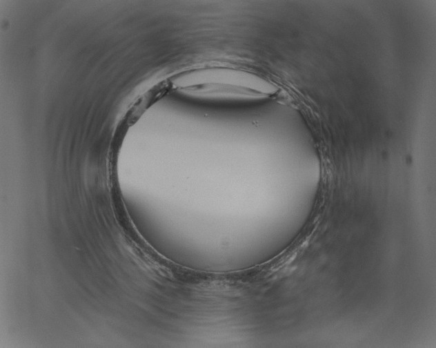 X0000067520244200604281641