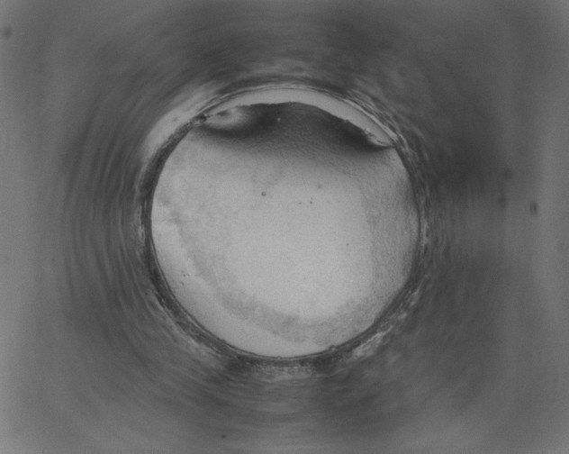 X0000067520245200604281641