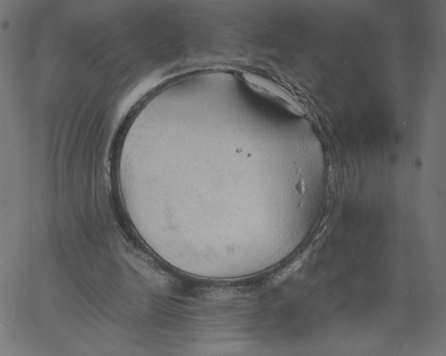 X0000067520246200604281641