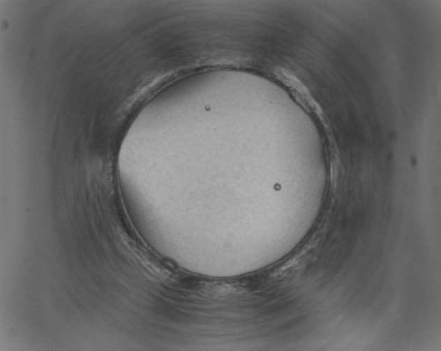 X0000067520249200604281641