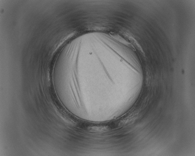 X0000067520251200604281641