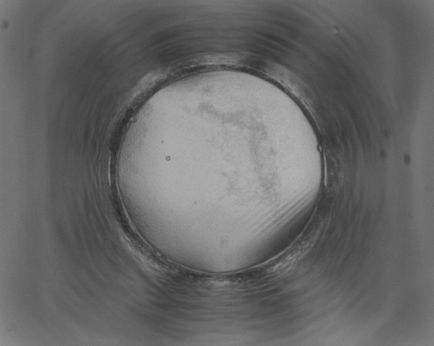 X0000067520253200604281641