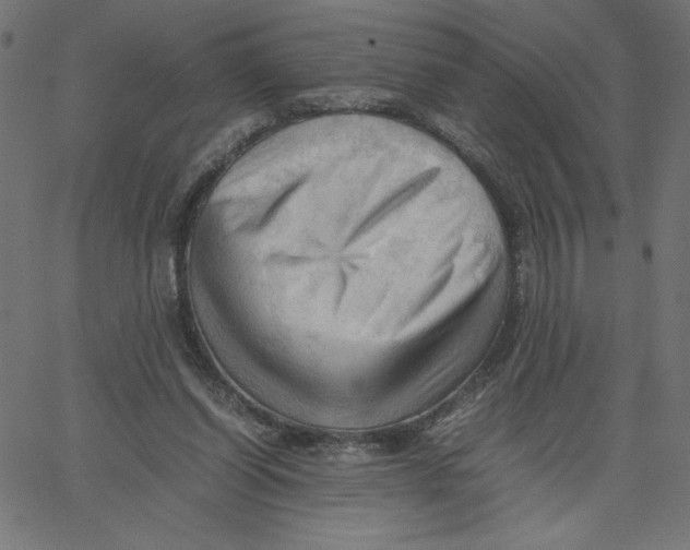 X0000067520254200604281641