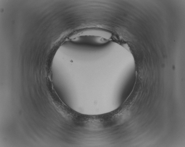 X0000067520256200604281641