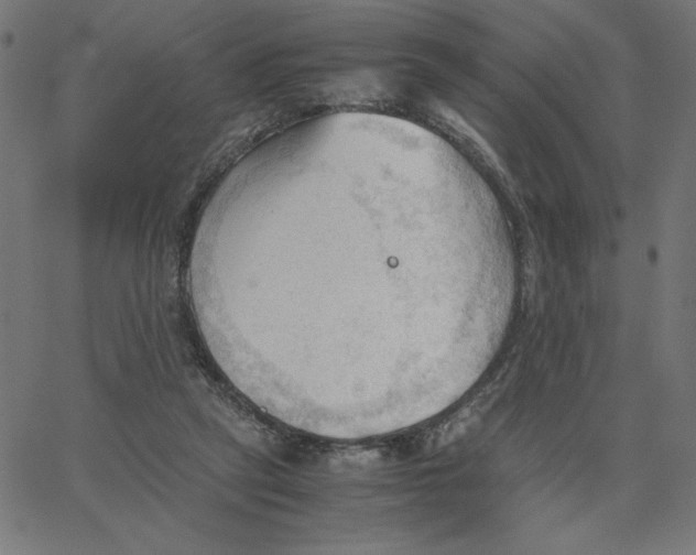 X0000067520257200604281641