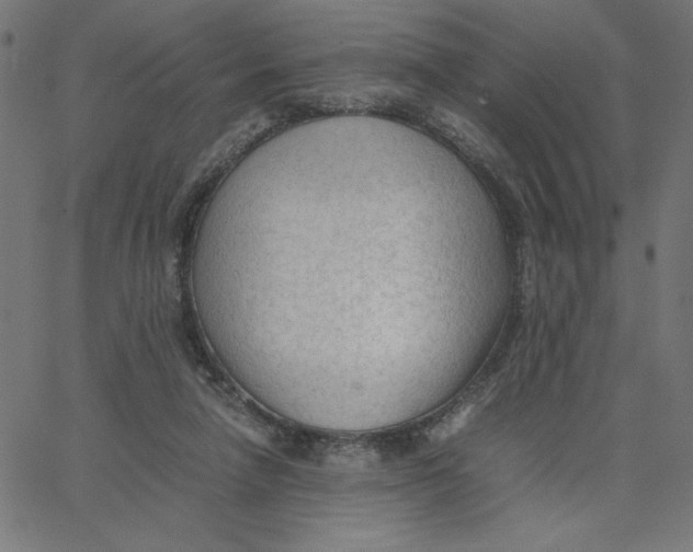 X0000067520258200604281641