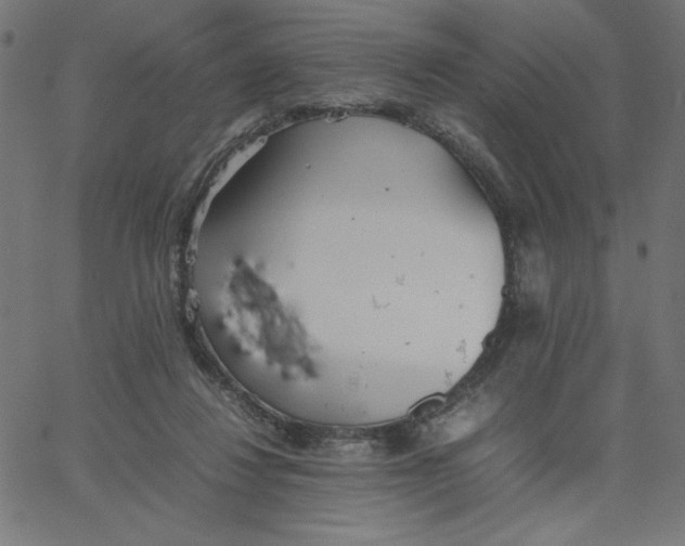 X0000067520260200604281641