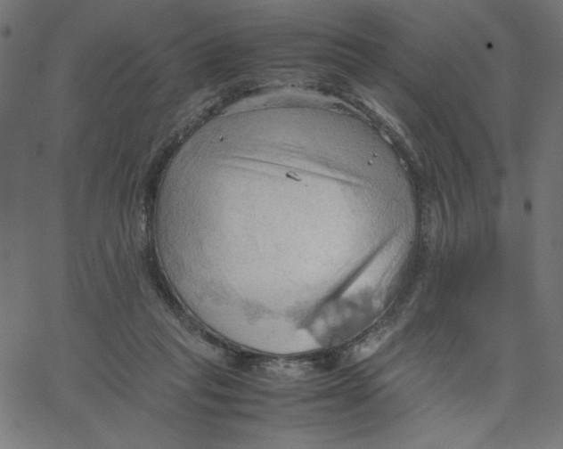 X0000067520261200604281641