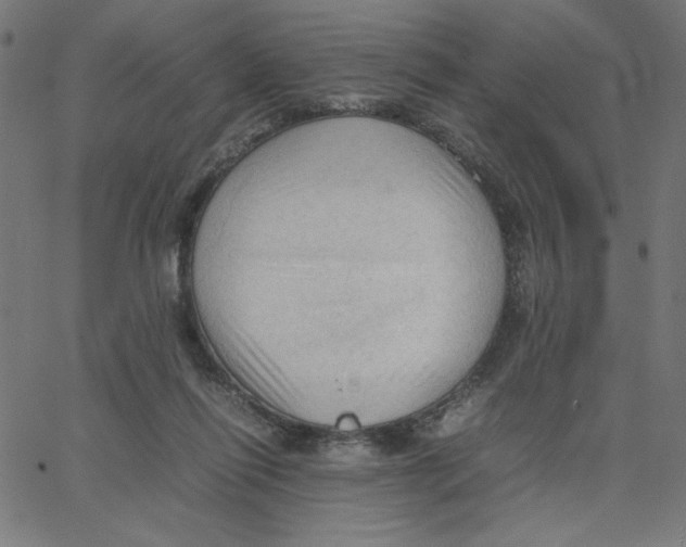 X0000067520262200604281641