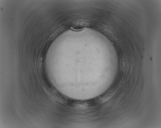 X0000067520263200604281641