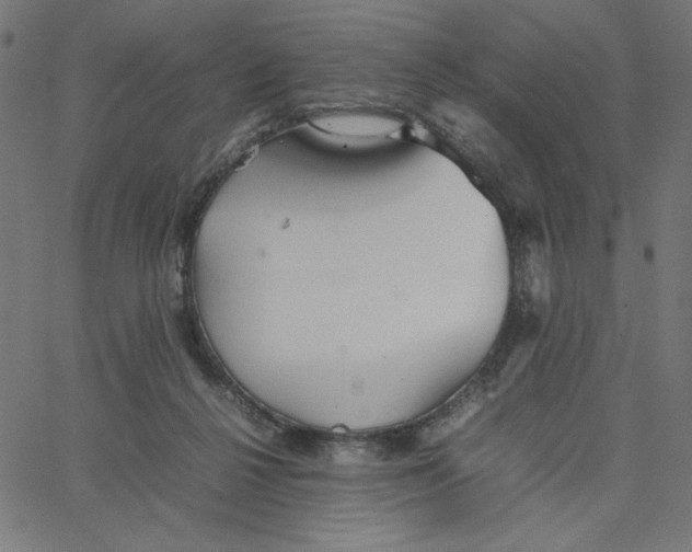 X0000067520264200604281641