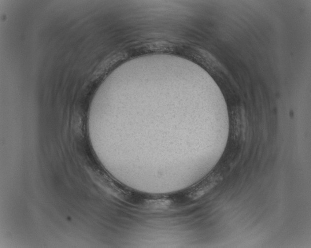 X0000067520266200604281641