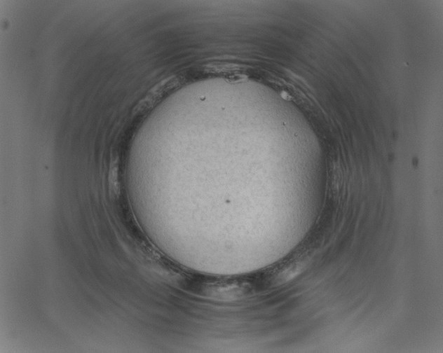 X0000067520267200604281641