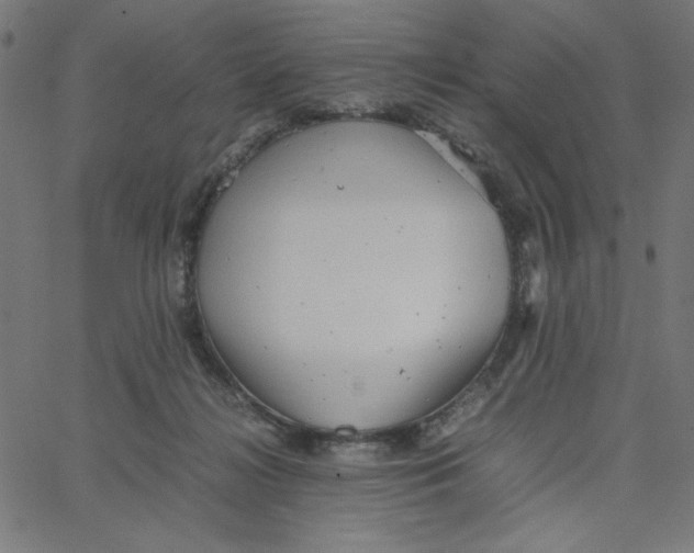 X0000067520268200604281641