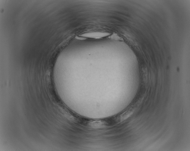 X0000067520269200604281641