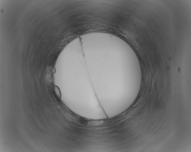 X0000067520273200604281642