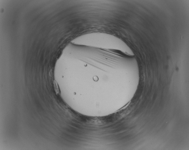 X0000067520276200604281642