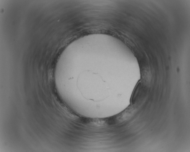 X0000067520278200604281642