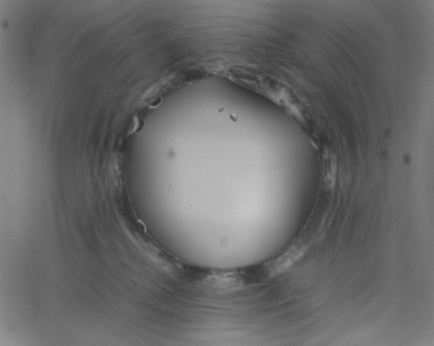 X0000067520280200604281642