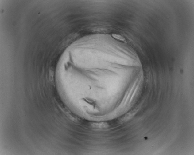 X0000067520281200604281642