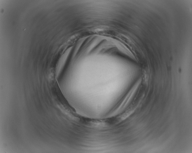 X0000067520284200604281642