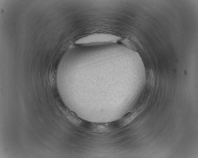 X0000067520285200604281642