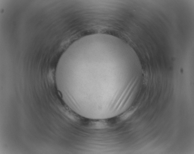 X0000067520286200604281642