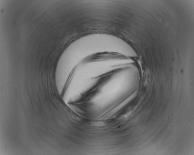 X0000067520287200604281642