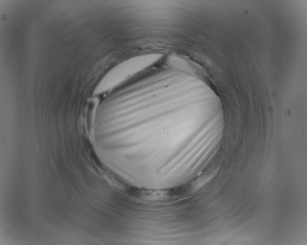 X0000067520288200604281642