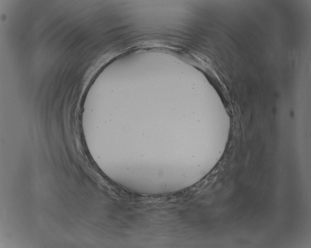 X0000067520289200604281641