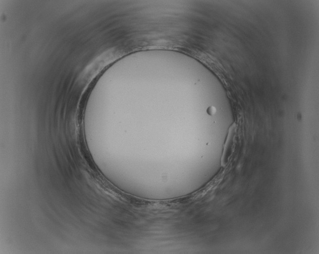 X0000067520290200604281641