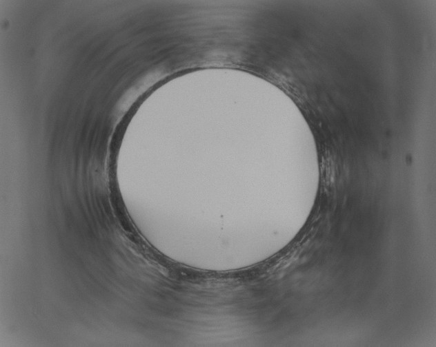 X0000067520292200604281641