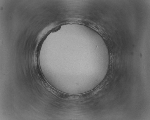 X0000067520294200604281641