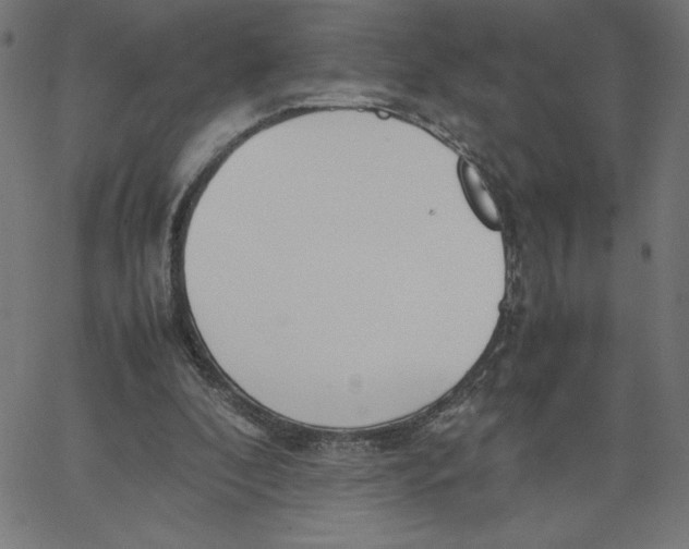 X0000067520296200604281641