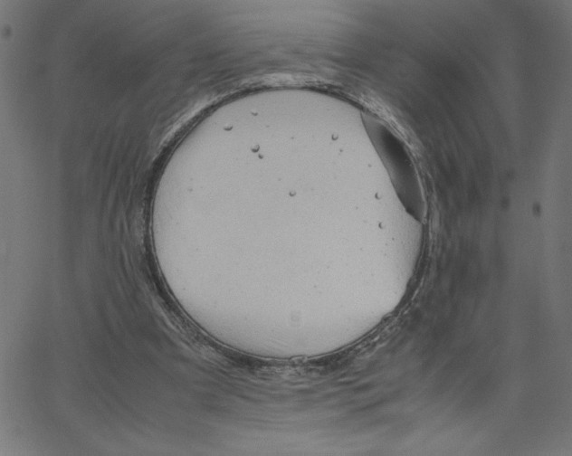 X0000067520297200604281641