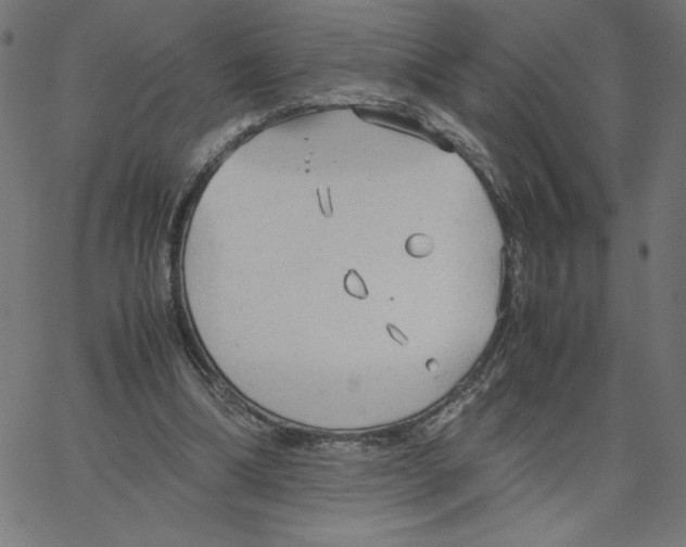 X0000067520298200604281641