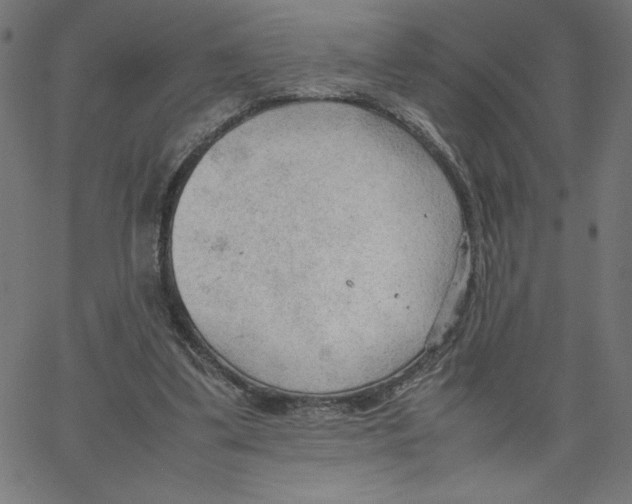 X0000067520299200604281641