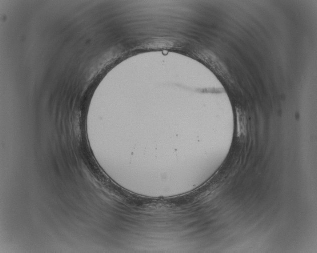 X0000067520300200604281641