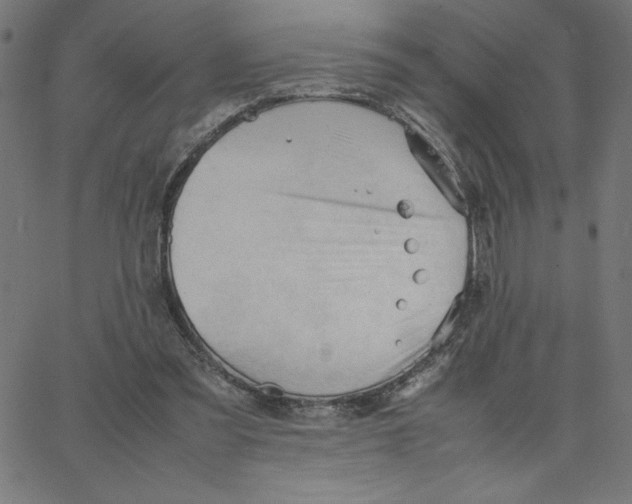 X0000067520301200604281641