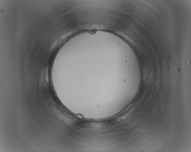 X0000067520302200604281641