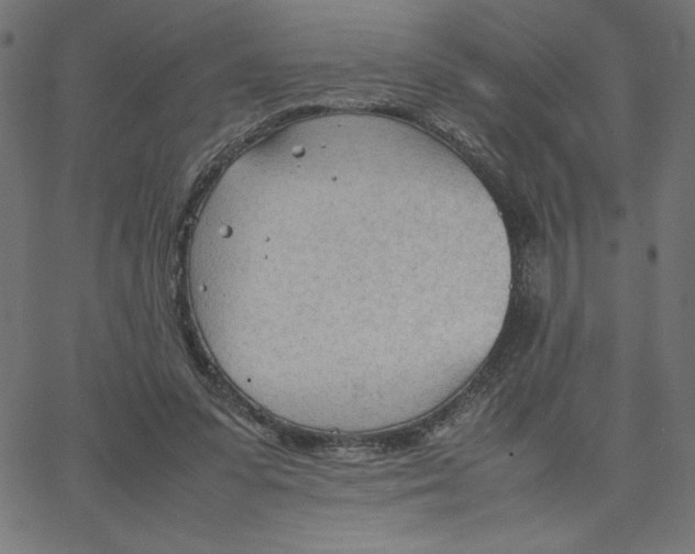 X0000067520303200604281641