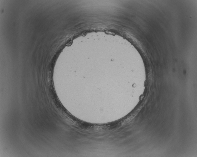 X0000067520305200604281641