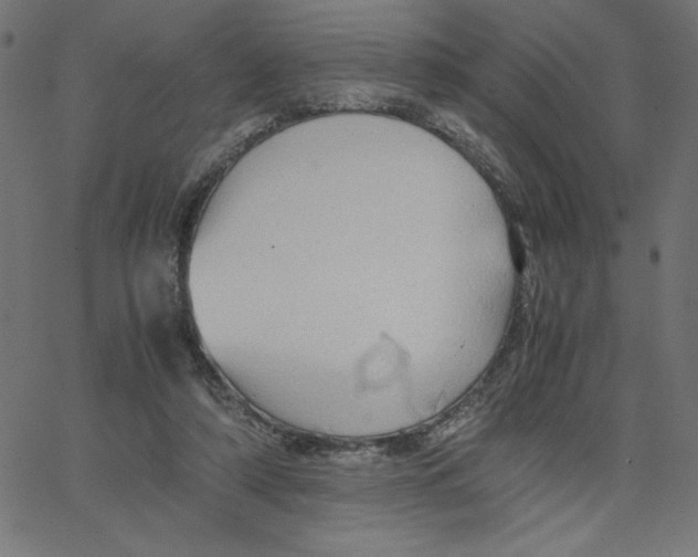 X0000067520306200604281641