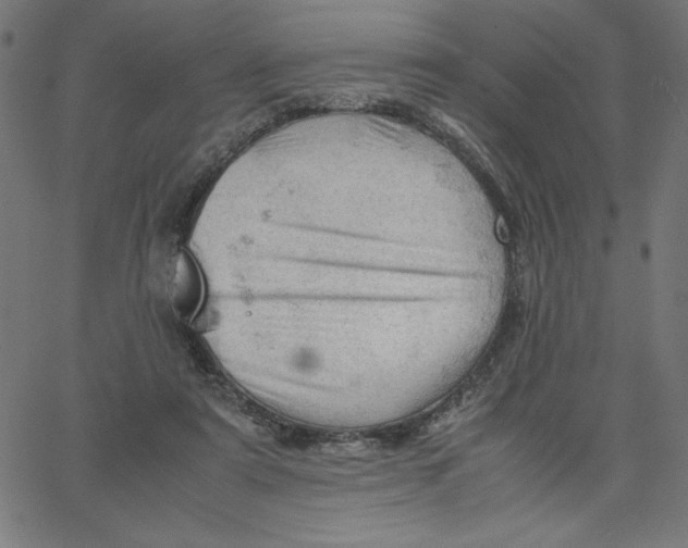 X0000067520307200604281641