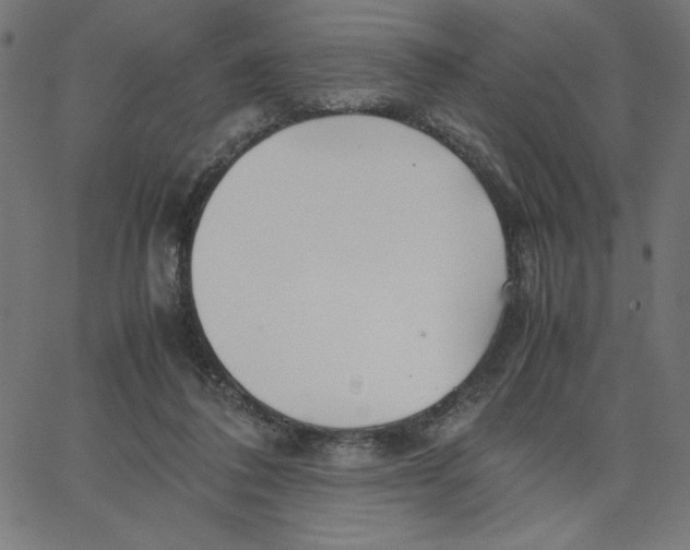 X0000067520308200604281641