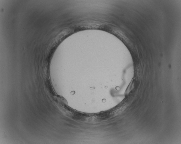 X0000067520309200604281641